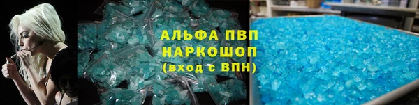 PSILOCYBIN Ладушкин